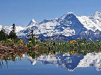 escorts-interlaken